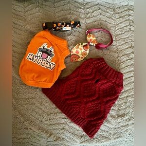 Small dog cute Fall accessories bundle 🎃